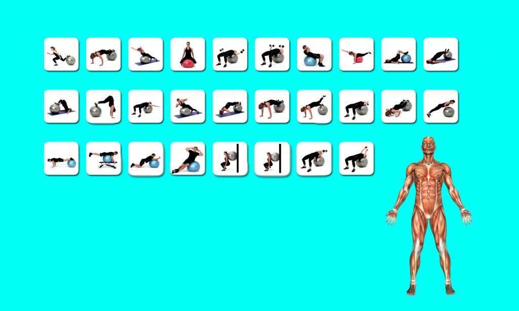 Entrenador Virtual